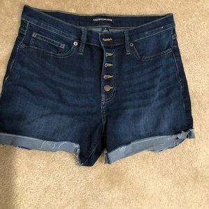 Denim Shorts Calvin Klain